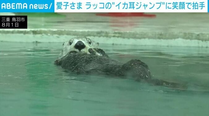 ラッコ