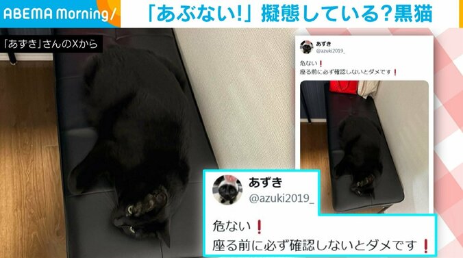 黒猫のあずきちゃん（6歳）