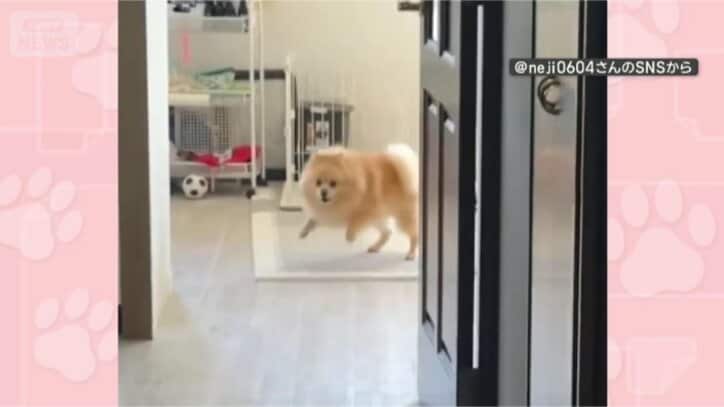 前脚でドンドン！