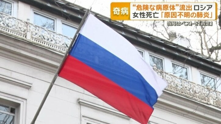 ロシア保健当局はペスト感染「否定」