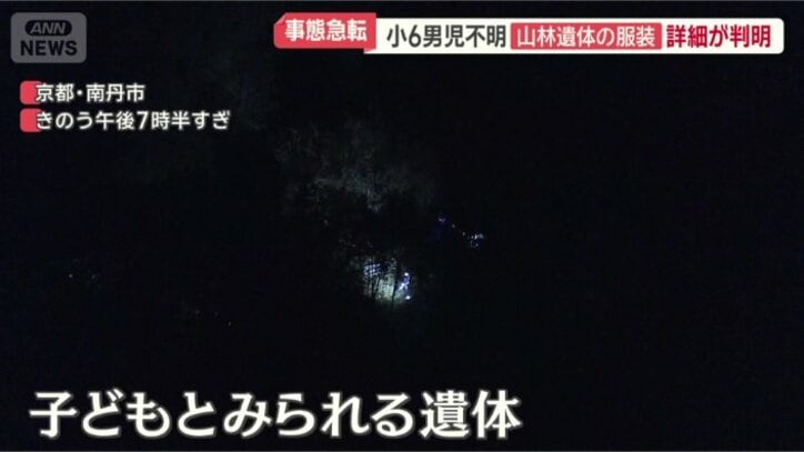 京都府南丹市の山林