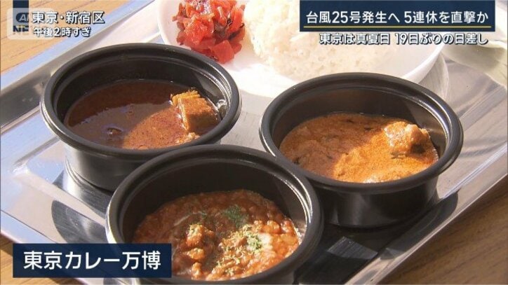 東京カレー万博
