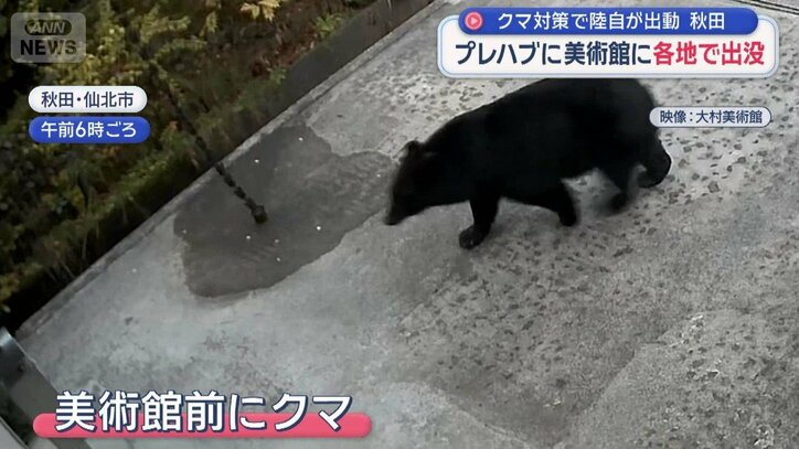 クマ対策支援　陸上自衛隊の部隊が秋田へ