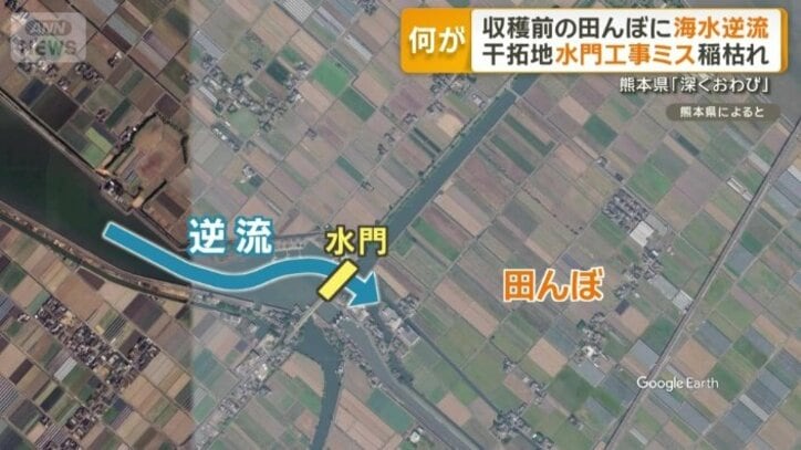 干拓地に流れ込む