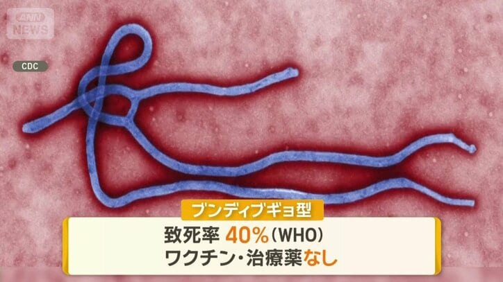 流行の「ブンディブギョ型」ウイルス