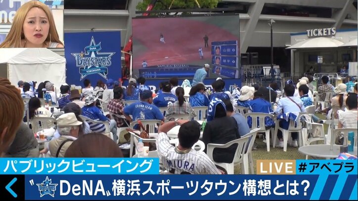 横浜スタジアムの観客数を球団史上最高に導いたDeNAベイスターズ部長の「顧客戦略」