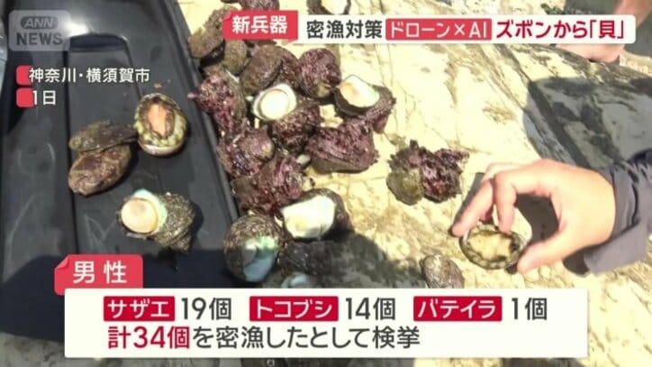 合計34個の貝が…