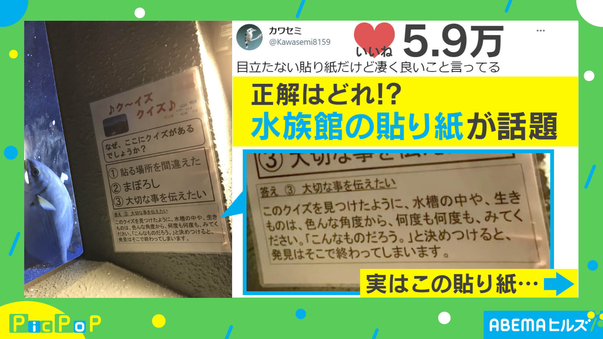 水族館の天井に なぜクイズ 深すぎる解説に反響 担当者 気がつく人だけが気づいて 国内 Abema Times