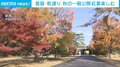 皇居・乾通り 秋の一般公開 紅葉楽しむ