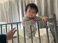  あいのり・桃、つかまり立ちを覚えた息子の姿を公開「嬉しいんだけど…正直…こわい」 