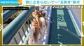 柴犬3匹の“玉突き”から数年…現在の姿が話題！全員シニア犬になっても衰えぬ愛らしさ