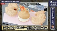 【動画】藤井棋聖の“かわいすぎるおやつシリーズ”、本局は「ケロトッツォ」