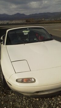 サンドウィッチマン富澤『ニセモノ!?』