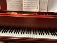 高橋真麻『職業病』