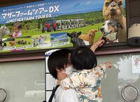 桃『三大難関！パチパチ、指さし、バイバイ！』