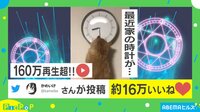 再生回数180万回!! “時を操る”ネコのイタズラに驚き