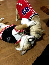 北斗晶『パパが帰国ー‼️』