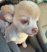 坂上忍『手術完了!』