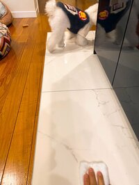 堀ちえみ『ココロからきれいになれる掃除』