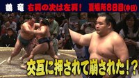 2019年 大相撲五月場所 - 今日の横綱 - <...