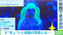 「流石に発光しすぎ」水族館でブラックライトに照らされた“衝撃的な姿”に「はぐれてもすぐ見つかる」「すごい光ってるw」と爆笑の声