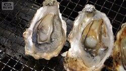 広島カキ大量死　中身空っぽ「50年で初めて」　香川でも被害　都内飲食店にも影響拡大