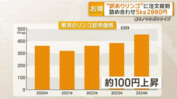 東京のリンゴ卸売価格