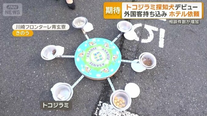 ルーレット訓練