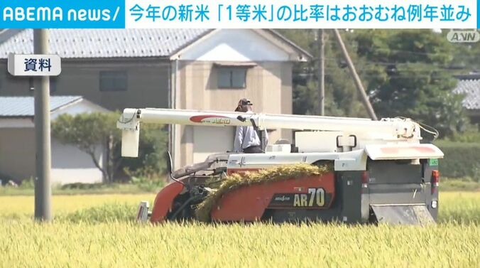 コメの収穫