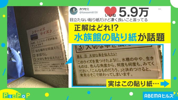 水族館の天井に「なぜクイズ？」深すぎる解説に反響 担当者「気がつく人だけが気づいて」 1枚目