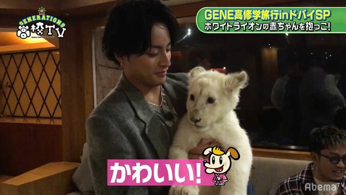 GENERATIONS、かわいすぎるホワイトライオンの赤ちゃんにメロメロ… 1枚目