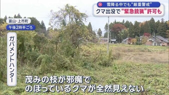 「下が茂みなので正直どこにいったか分からない」