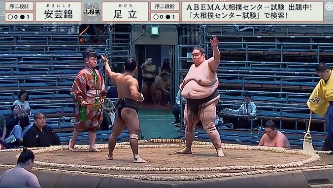 序二段八十一枚目・安芸錦