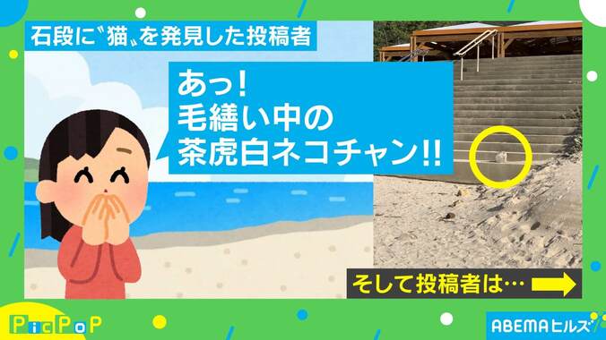 「あっ、ネコチャン！」駆け寄ってみると…投稿主を待っていた予想外の“出会い” 1枚目