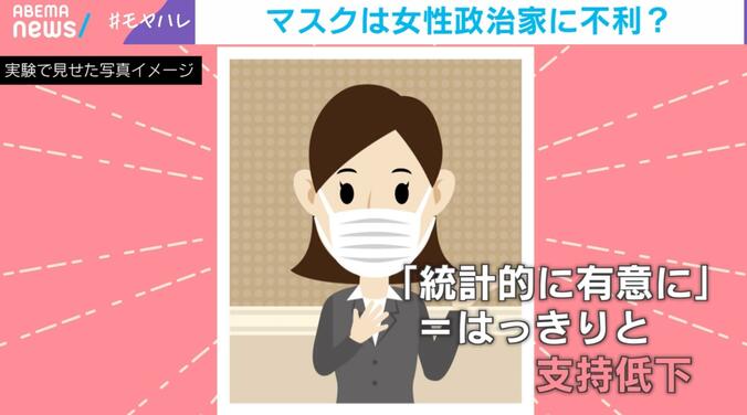 実験で見せた写真イメージ