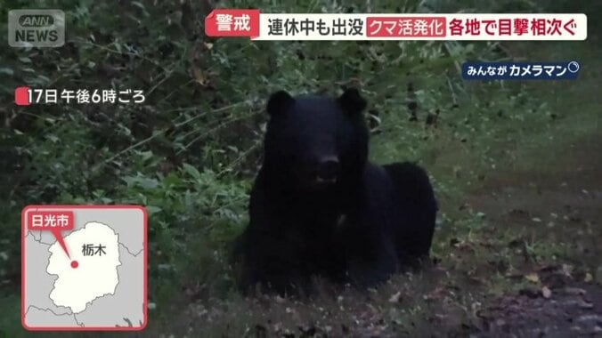 栃木・日光市の観光地「華厳の滝」周辺にいたクマ