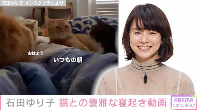 石田ゆり子、愛猫たちとの寝起き動画が話題に「極上の幸せがベッドの上に」「この中に混ざりたい」 1枚目