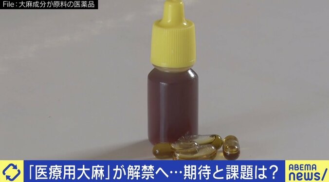 「脳の切除手術直前だった」生後3カ月で点頭てんかん発症…法律は時代遅れ？ 医療用大麻解禁に期待の声 2枚目