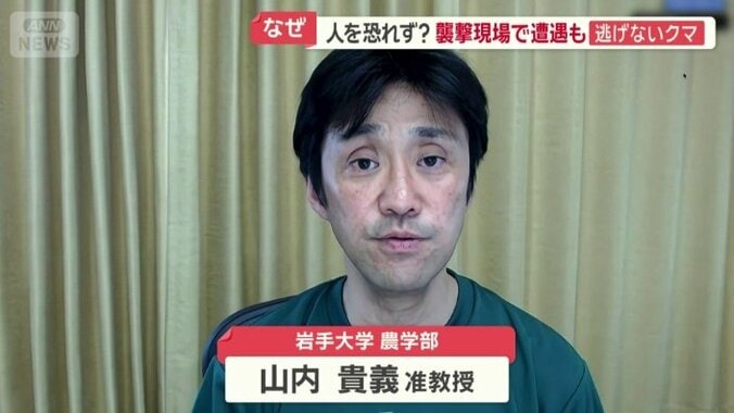 岩手大学農学部　山内貴義准教授