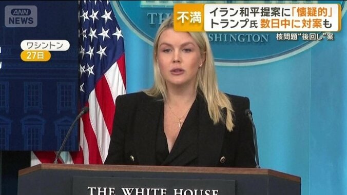 レビット報道官