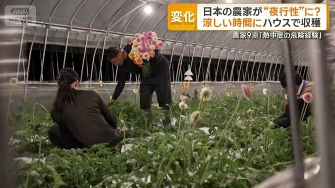 3年前の夏に従業員が熱中症に
