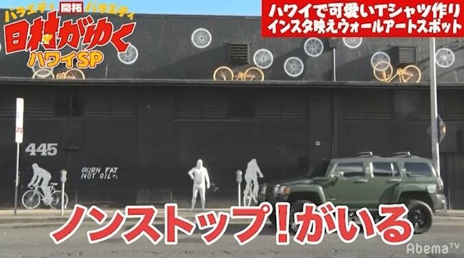 同じハワイロケなのに…日村、『ノンストップ！』ロケ中の設楽に遭遇、コンビの格差に愕然「とてつもねぇ差を見せつけられた」 4枚目