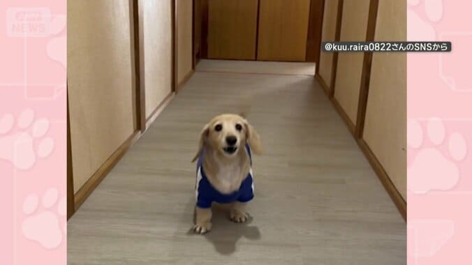 元気に遊ぶ