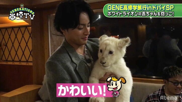 Generations かわいすぎるホワイトライオンの赤ちゃんにメロメロ バラエティ Abema Times