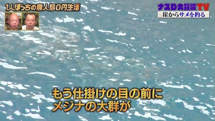 ナスD、趣味が“サメ釣り”に？ 餌用のメジナを見て「視聴者プレゼントにしたい」と興奮