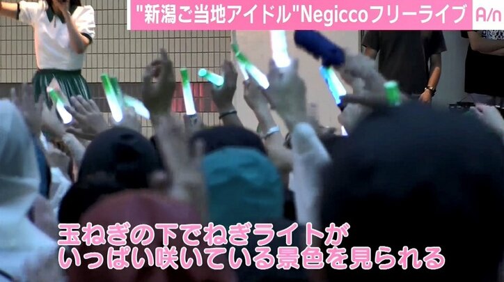 結成15年目の新潟ご当地アイドル Negicco 目標は 玉ねぎの下 武道館 でネギライト その他 Abema Times