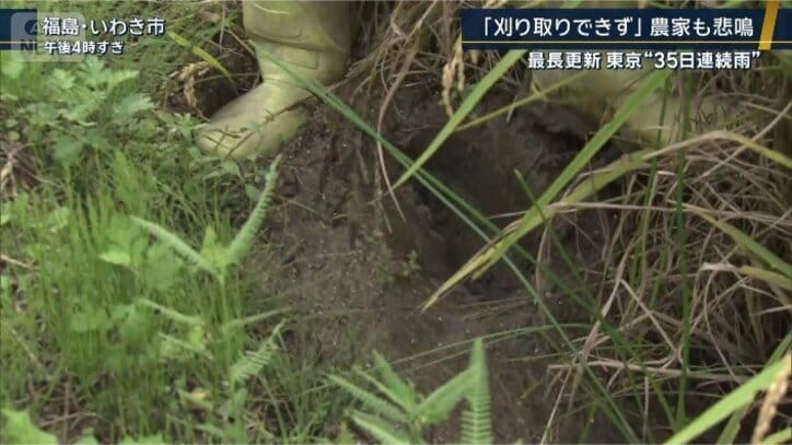 ファーム白石 白石長利代表