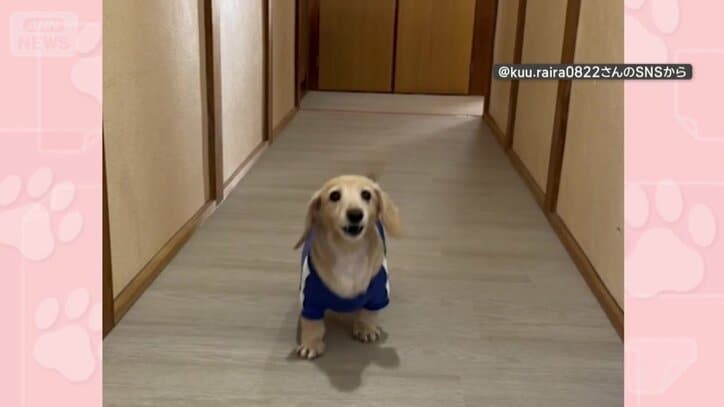 元気に遊ぶ