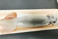 ニッチェ 江上敬子『ここ何年かで1番泣いた。。』