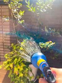 堀ちえみ『リウマチエクササイズはいいです^ ^』